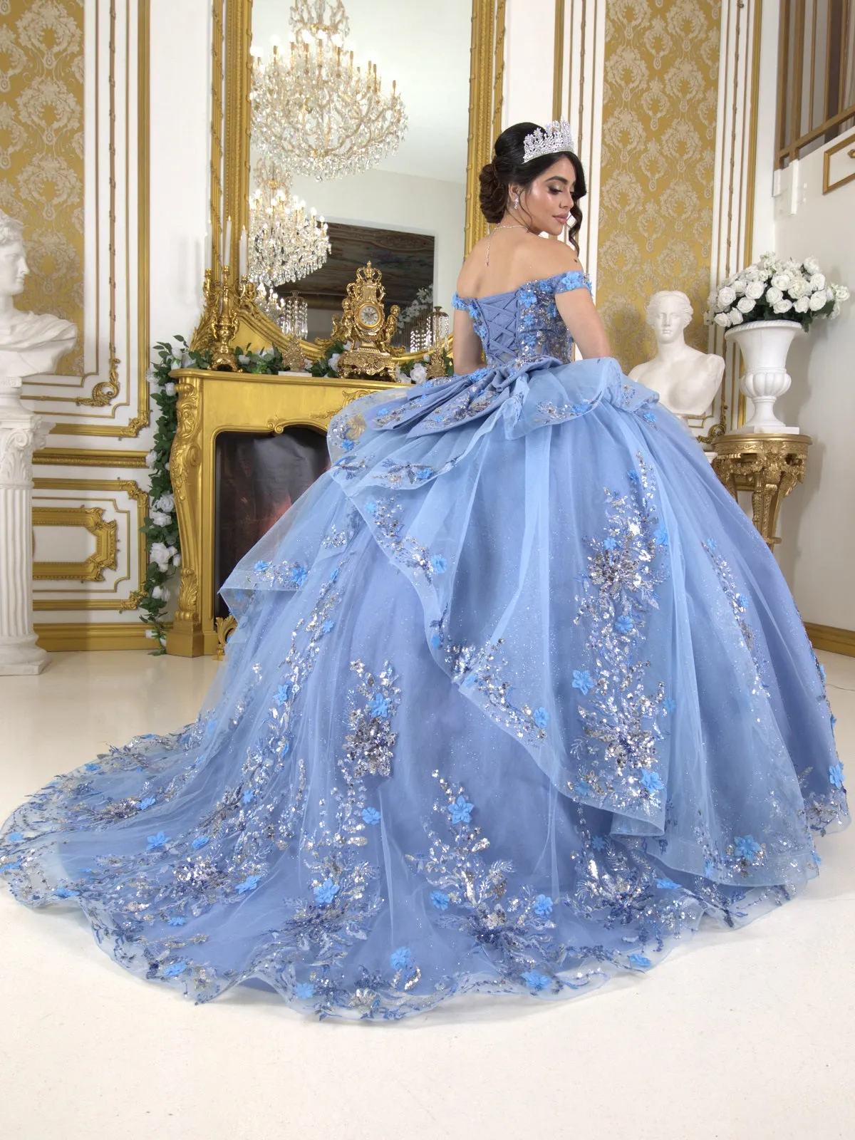 Enchanting Floral Details Quinceañera Ball Gown for Women, Sizes XS-3XL