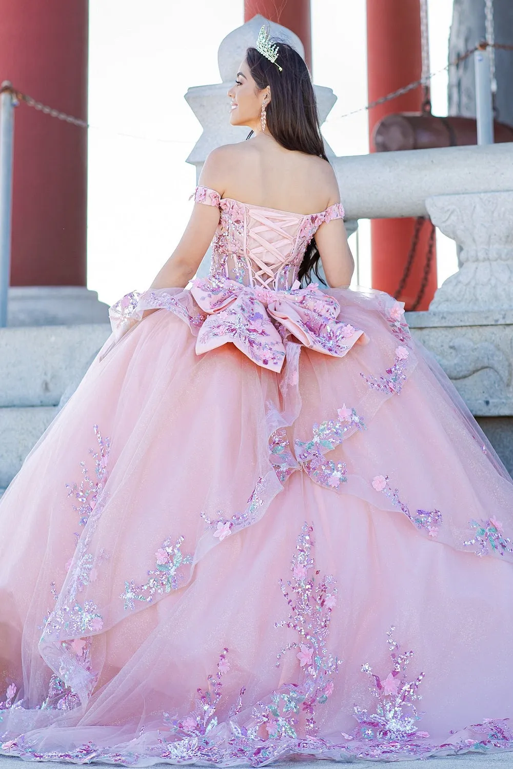 Enchanting Floral Details Quinceañera Ball Gown for Women, Sizes XS-3XL