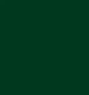 Hunter Green Swatch